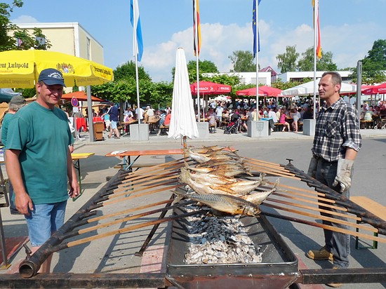 Brunnenfest 2010