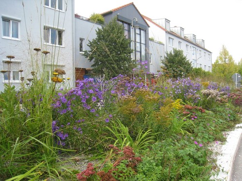 Blumen