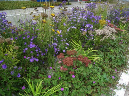 Blumen
