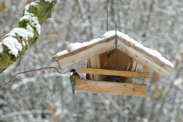 Der erste Schnee