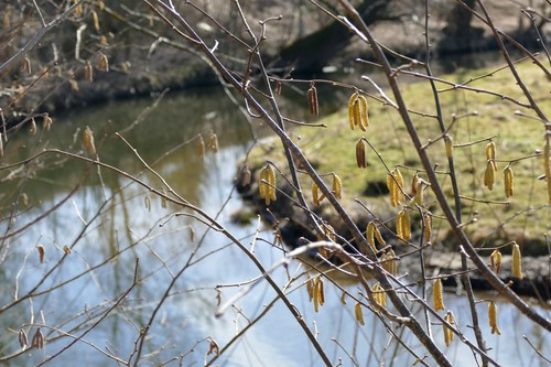 Augenblicke 8.3.2015