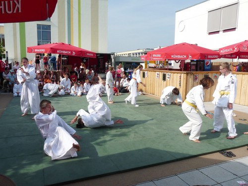 Brunnenfest 2015