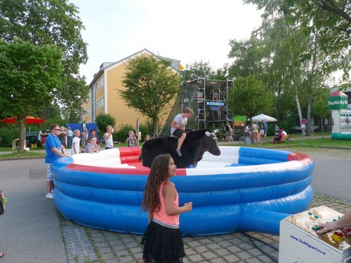Brunnenfest 2015