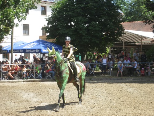 Reitturnier-Kostümspringen