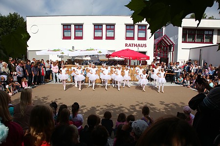 Brunnenfest2011