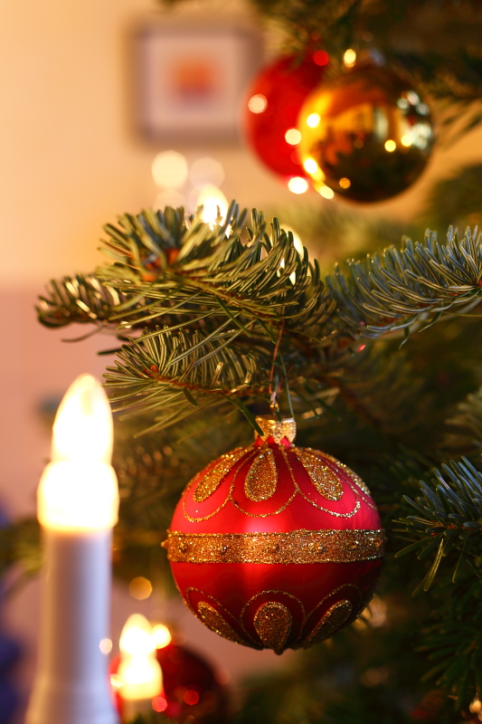 Frohes Fest