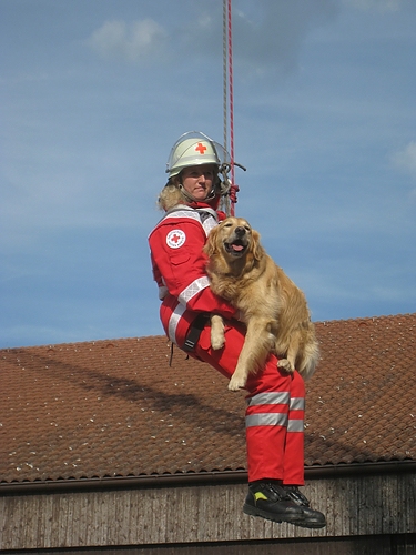 Tag der offenen T&uuml;r 2010 Feuerwehr Kissing