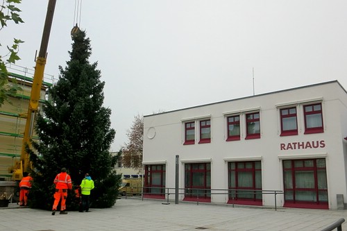 Weihnachtsbaum