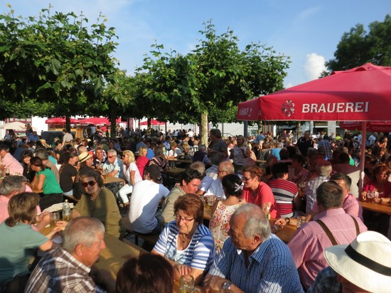 Brunnenfest 2013