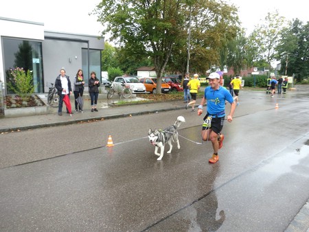 Halbmarathon 2014