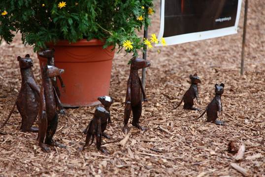 2010-4-garten14.JPG
